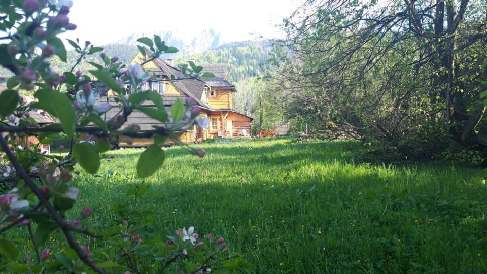 Kwatery Prywatne-Romanowka Zakopane Luaran gambar