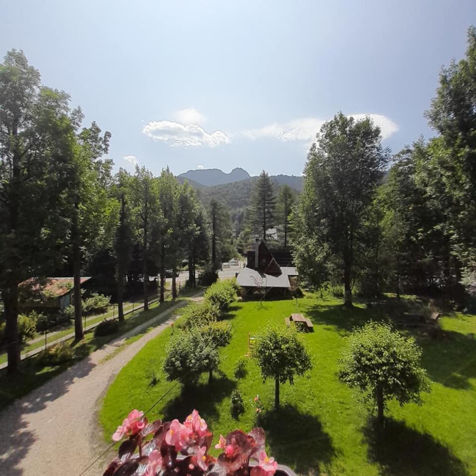 Kwatery Prywatne-Romanowka Zakopane Luaran gambar