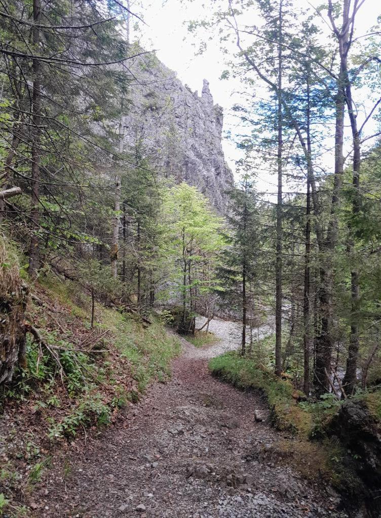 Kwatery Prywatne-Romanowka Zakopane Luaran gambar