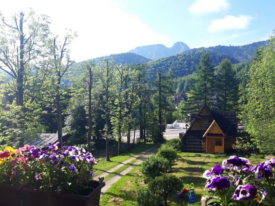 Kwatery Prywatne-Romanowka Zakopane Luaran gambar